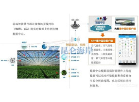 智慧农业葡萄园项目种植物联网项目解决方案