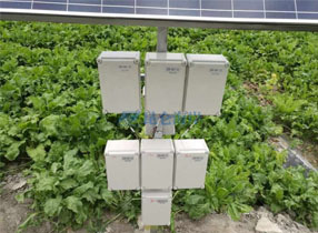 解放劳动力，吃瓜群众就是你！