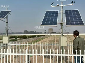 我们让农业大田逆生长