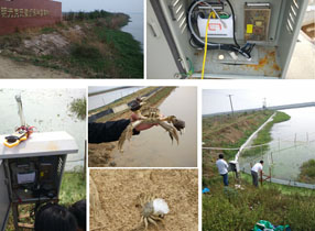 那些年，我们做过的农业项目