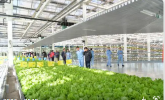 农业大棚环境监测系统应用方案