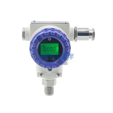 防护型隔爆压力变送器 JYB-KG-P系列