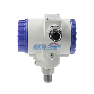 隔爆压力无显示侧面P370