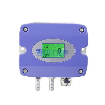 防爆型扩散硅微差压变送器JYB-DW-NAZEx