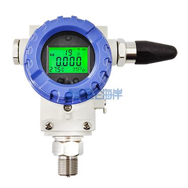 NB无线压力隔爆传感器 JYB-NB-PEx