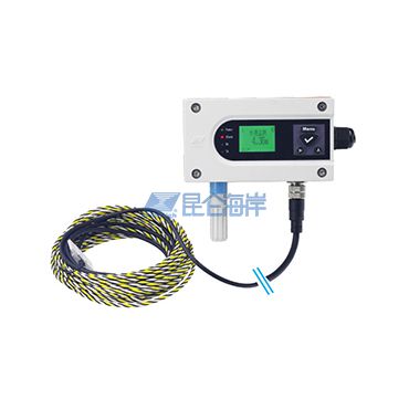 定位水浸变送器 JS-DW系列