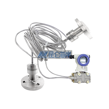 【行业BU】高温熔盐压力差压变送器JYB-810G型