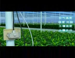 8868登陆入口Zigbee无线产品震撼上市