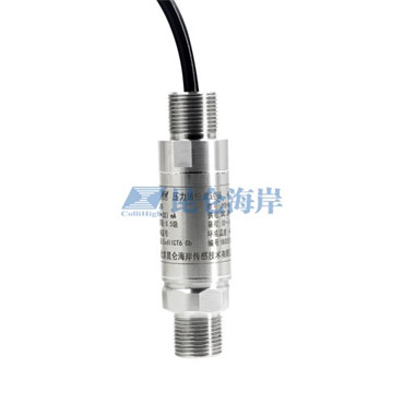 精巧型隔爆压力变送器 JYB-CG-Z